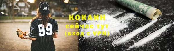 индика Приозерск