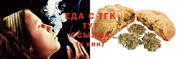 индика Приозерск