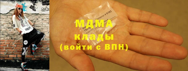 индика Приозерск