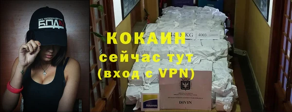 МДПВ Протвино