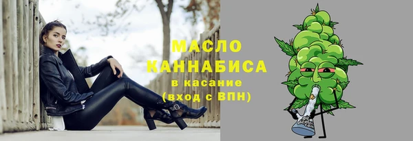 МДПВ Протвино