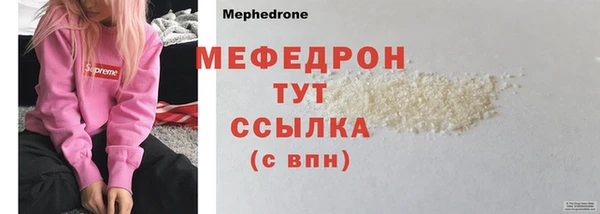 индика Приозерск
