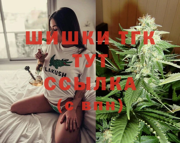 МДПВ Протвино