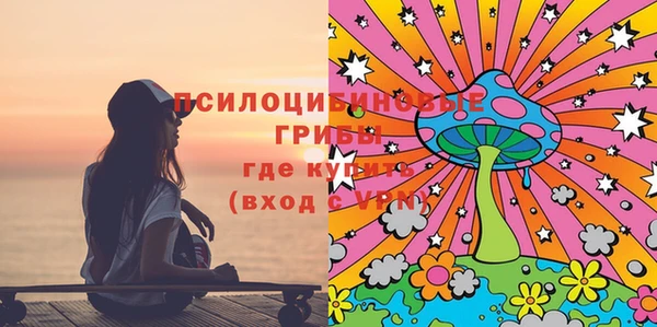 индика Приозерск