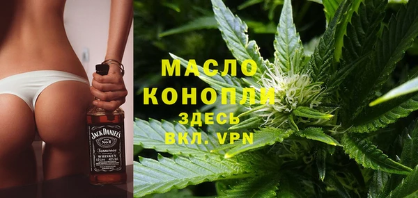 индика Приозерск