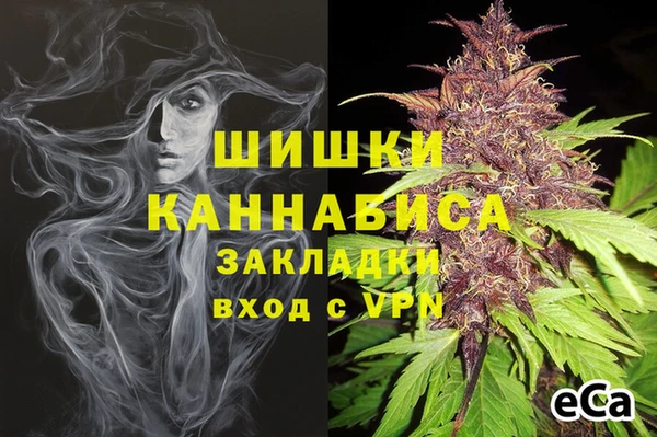 индика Приозерск