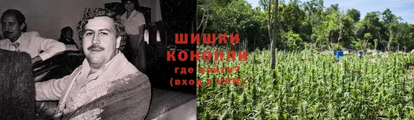МДПВ Протвино