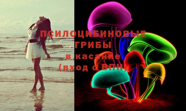 индика Приозерск