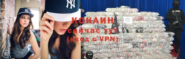 индика Приозерск