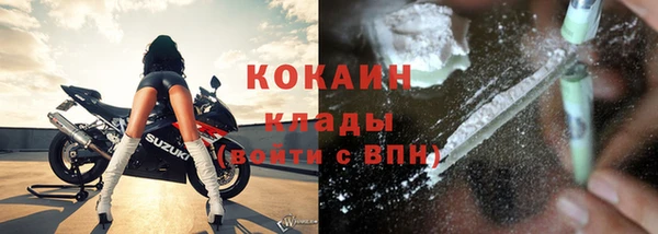 индика Приозерск