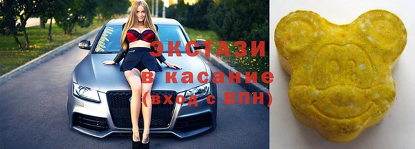 индика Приозерск