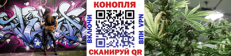 mega как зайти  Ряжск  Шишки марихуана сатива 